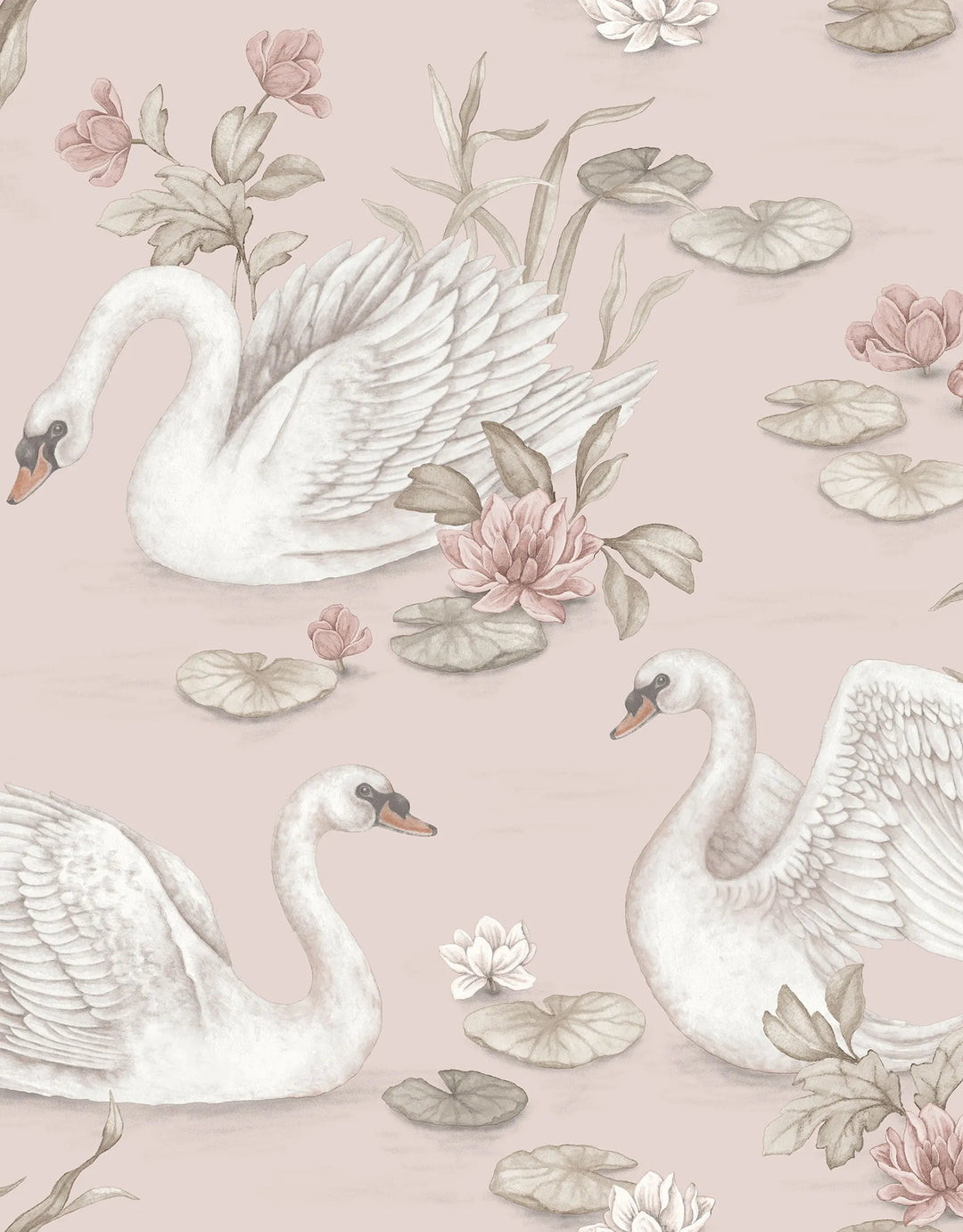 Tapete Swan Rosa